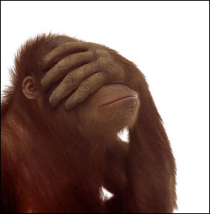 facepalm_monkey.jpg